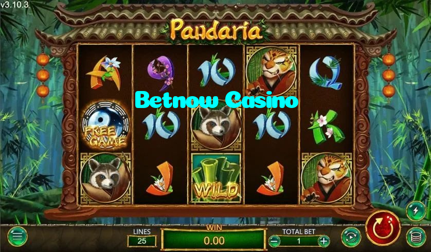 available types of Betnow Casino bet including pre-match live express and system bets